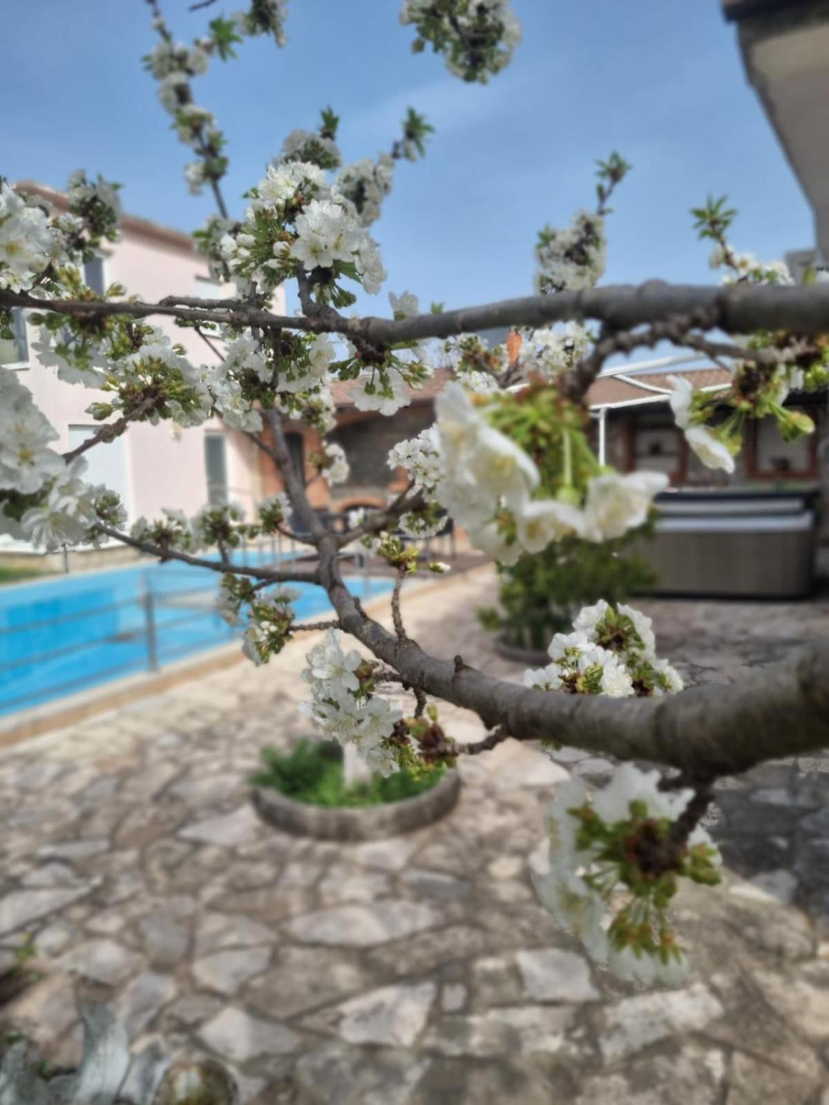 Hacienda Kolenda Apartamento Mostar Exterior foto